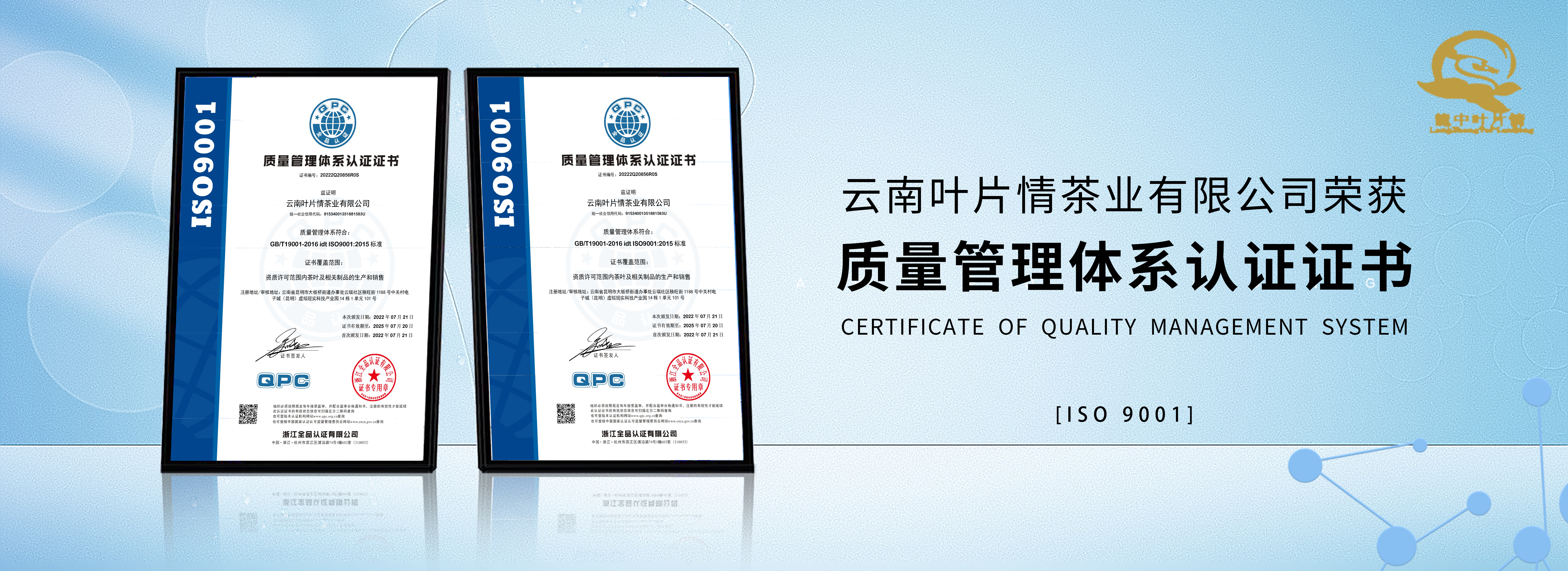 云南普洱茶廠家,專注普洱茶批發(fā)定制